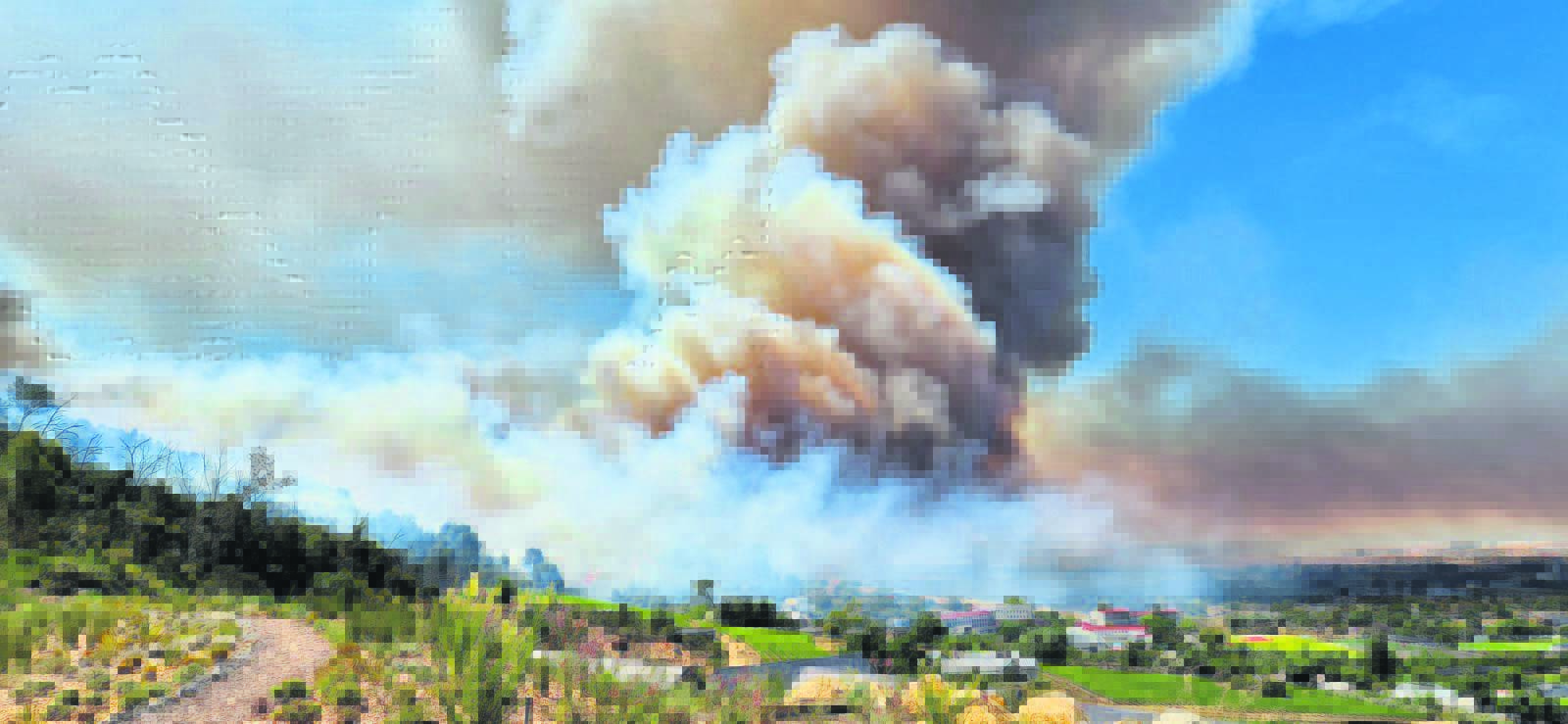 Arsonist receives a slap on wrist