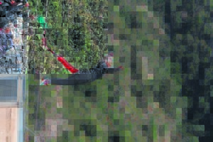 Guinness World Record