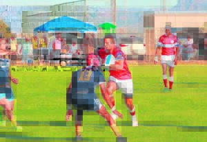 Roses reis ver vir sege