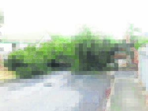 Storm rig baie skade aan