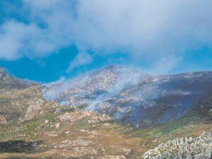 Brandbestryders veg teen woedende brand op Wellington-plaas