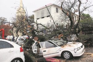 Wind rig groot skade aan