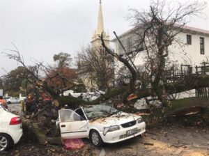 Boom val op Toyota Tazz terwyl storm in Paarl woed