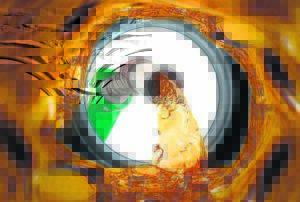 Groot brandstof skok voorspel vir Maart