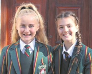 Netbaldoedies in Wynlandspan