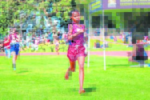 Jesnique die naaswenner