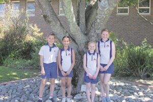 Courtrai-gimnaste presteer op SA’s