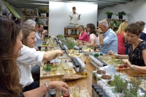 Herrie oor Drakenstein-munisipaliteit bykans R50 000 aan Duitse gaste bestee