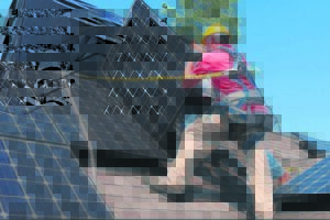 Go solar, as nature intended