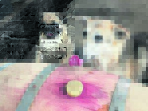 Harvest season is almost here