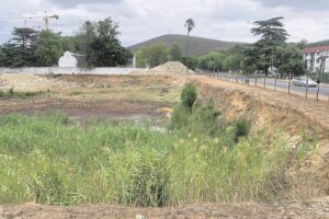 Gat wat 2 Maties eis bly kopseer