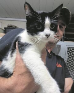 Katjie gered van telefoonpaal