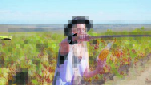 Wat’s nuut in Augustus op Via?