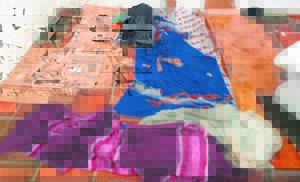 Morsige straatslapers pla