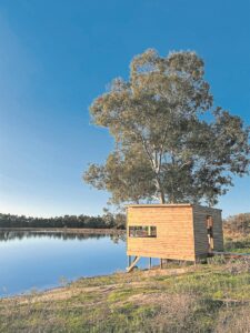 Unique birding at Vondeling Wines