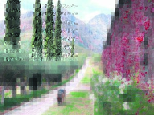 Herfskleure op die plaas