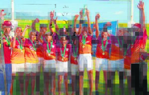 Alfons en Wellington se o.13-spanne kraai koning