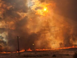 Brande eis al duisende hektaar