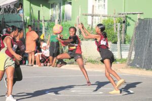 Netbalstryd by Loeriewoonstelle