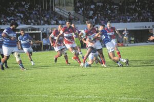 Newton Bombelas struikel