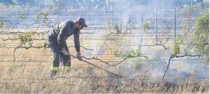 Flames consume festivities too