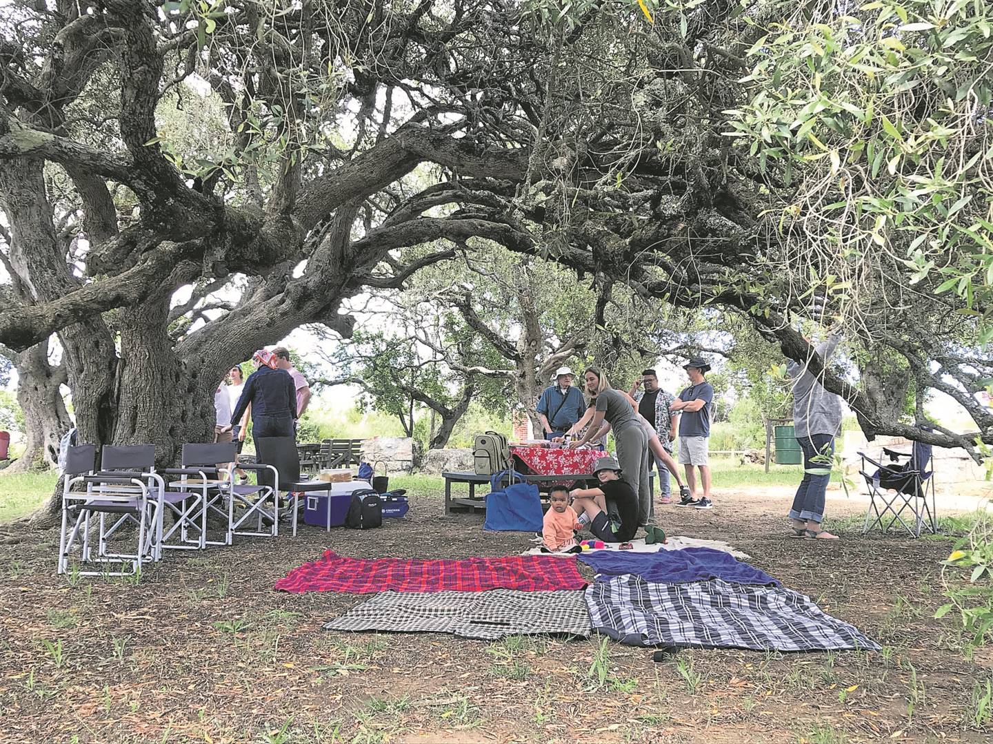 Paarl,Paarlberg,Kampterrein