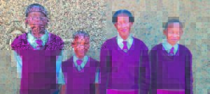 Orleansvale kies hoofleiers