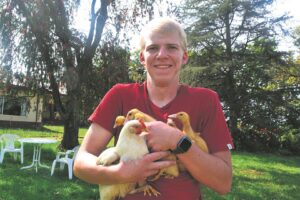 Kwakende kroos se ma ’n hoender