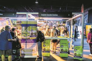 Meer as 150 uitstallers by dagga-ekspo in die Kaap