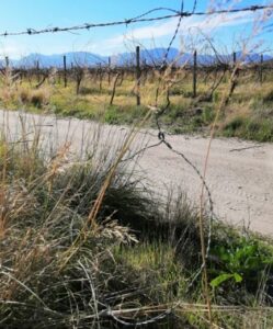 Snare tactics and ways to stop it