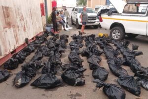 Man arrested in Wellington with abalone worth R800k