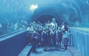 Danksy skenkings is Groenberg Kaap toe