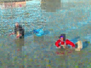 Waterblommetjies in die Boland