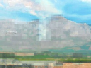 Boegoestropers bedreig berge om Wellington