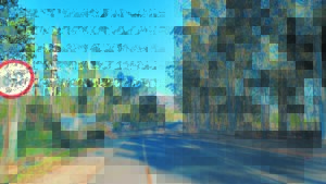 Bloekombome langs Bo Dal-pad ‘dodelik’