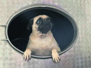 Familiedag by Lelienfontein