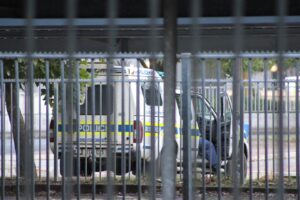 Polisie ondersoek doodsdreigemente teen Poole, Leibbrandt