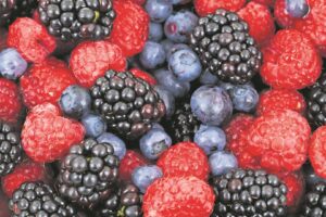 Transnet-staking: 12 000 poste op die spel in die Wes-Kaapse bessiebedryf