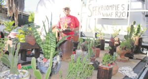 Make the most of a good opportunity – market your produce at the next Plaashek Mark