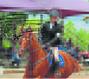 Perdrykampioen gaan van krag tot krag