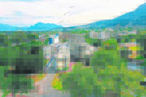 What municipal employees earn