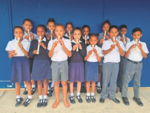 Leerders wys hul musiektalent