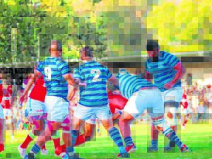 Newton bly op wenpad