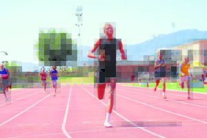 Bolandse atletiekfees