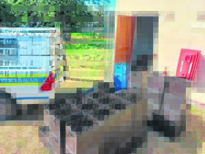 50-jarige in hegtenis geneem