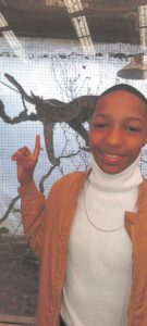 Tienerseun sterf skielik