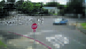 Berugte ‘dief’ uiteindelik vas