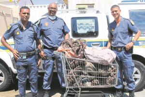 Koper ter waarde van R277K gevind