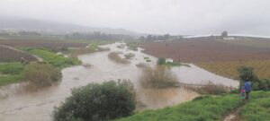 BLY KALM: Damwal op Bovlei-plaas breek