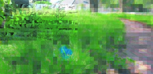 Dorp lyk ‘skokkend’